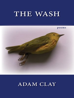 cover image of The Wash